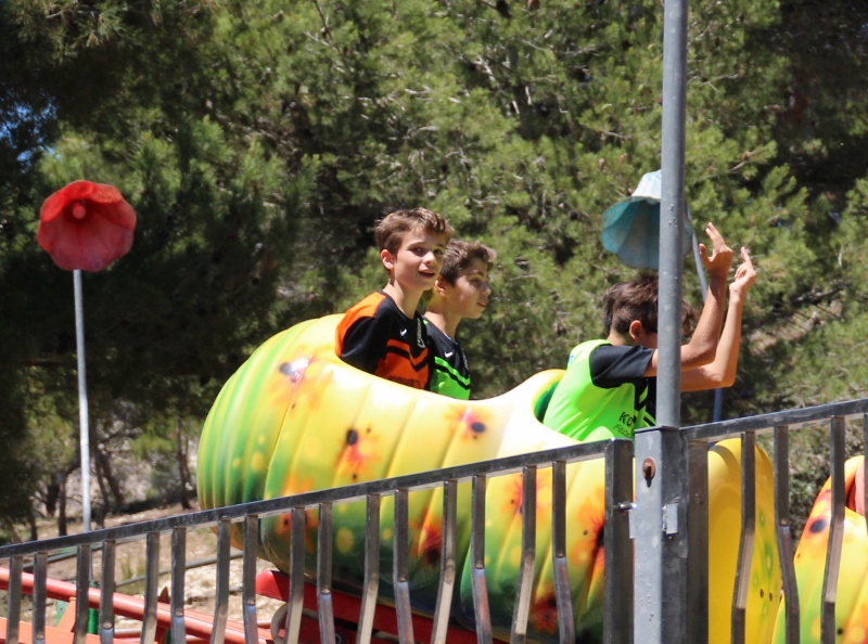 IMG 3079 (800x594)